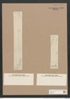 Pleurosigma wansbeckii Donk. (de-Toni-Nr.: Genus 13, Species 1069) Zeichnungen Sammlung Grunow Nr. 1929 (NHMW-BOT-W0369060)